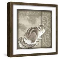 Timberland Squirrel-Dorothea Taylor-Framed Art Print