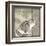 Timberland Squirrel-Dorothea Taylor-Framed Art Print