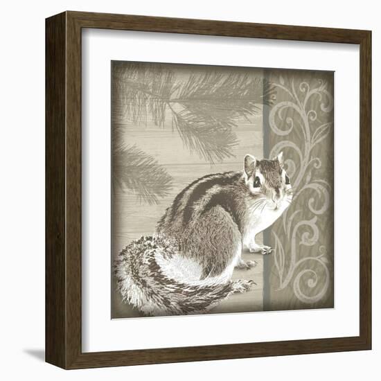 Timberland Squirrel-Dorothea Taylor-Framed Art Print