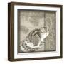 Timberland Squirrel-Dorothea Taylor-Framed Art Print