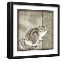 Timberland Squirrel-Dorothea Taylor-Framed Art Print