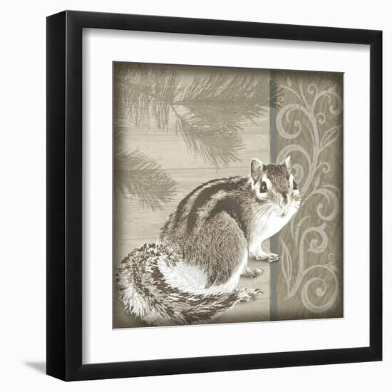 Timberland Squirrel-Dorothea Taylor-Framed Art Print