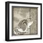 Timberland Squirrel-Dorothea Taylor-Framed Art Print