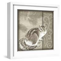 Timberland Squirrel-Dorothea Taylor-Framed Art Print