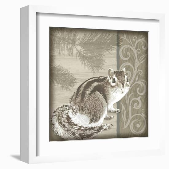 Timberland Squirrel-Dorothea Taylor-Framed Art Print