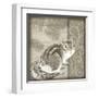 Timberland Squirrel-Dorothea Taylor-Framed Art Print