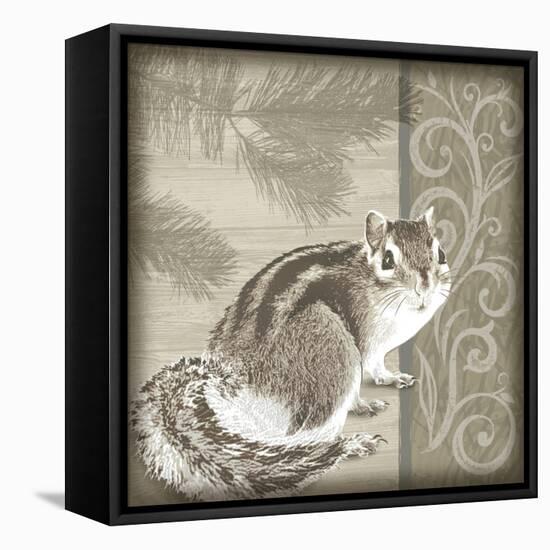 Timberland Squirrel-Dorothea Taylor-Framed Stretched Canvas