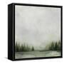 Timberline I-Grace Popp-Framed Stretched Canvas