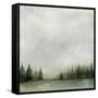 Timberline II-Grace Popp-Framed Stretched Canvas