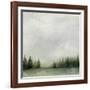 Timberline II-Grace Popp-Framed Art Print