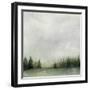 Timberline II-Grace Popp-Framed Art Print