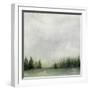 Timberline II-Grace Popp-Framed Art Print