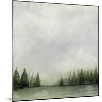 Timberline II-Grace Popp-Mounted Art Print