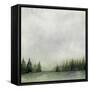 Timberline II-Grace Popp-Framed Stretched Canvas