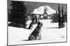Timberline Lodge and "Lady" the owner's St. Bernard Photograph - Mt. Hood, OR-Lantern Press-Mounted Art Print