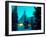 Timberline Lodge at Night in the Snow, Oregon Cascades, USA-Janis Miglavs-Framed Photographic Print