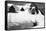 Timberline Lodge Skiing off Roof Mt. Hood Photograph - Mt. Hood, OR-Lantern Press-Framed Stretched Canvas