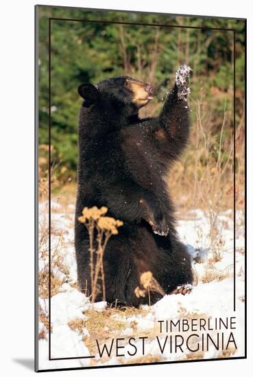 Timberline, West Virginia - Bear Playing with Snow-Lantern Press-Mounted Art Print