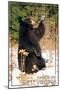 Timberline, West Virginia - Bear Playing with Snow-Lantern Press-Mounted Art Print