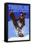 Timberline, West Virginia - Colorblock Snowboarder-Lantern Press-Framed Stretched Canvas