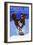 Timberline, West Virginia - Colorblock Snowboarder-Lantern Press-Framed Art Print