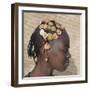 Timbuktu, A Songhay Girl with an Elaborately Decorated Hairstyle in Timbuktu, Mali-Nigel Pavitt-Framed Photographic Print