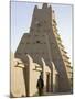 Timbuktu, the Sankore Mosque at Timbuktu Which Was Built in the 14th Century, Mali-Nigel Pavitt-Mounted Photographic Print