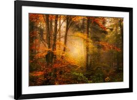 Time Away-Philippe Sainte-Laudy-Framed Photographic Print