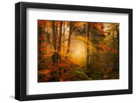 Time Away-Philippe Sainte-Laudy-Framed Premium Photographic Print