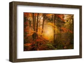 Time Away-Philippe Sainte-Laudy-Framed Photographic Print