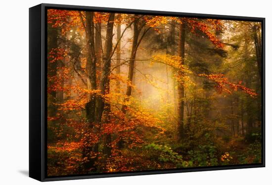 Time Away-Philippe Sainte-Laudy-Framed Stretched Canvas