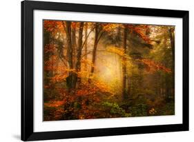 Time Away-Philippe Sainte-Laudy-Framed Photographic Print