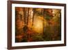 Time Away-Philippe Sainte-Laudy-Framed Photographic Print