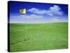 Time Elapsed Golf Shot-null-Stretched Canvas