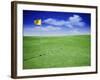 Time Elapsed Golf Shot-null-Framed Photographic Print