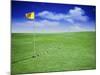 Time Elapsed Golf Shot-null-Mounted Photographic Print