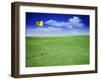 Time Elapsed Golf Shot-null-Framed Photographic Print