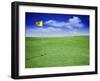 Time Elapsed Golf Shot-null-Framed Photographic Print