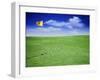 Time Elapsed Golf Shot-null-Framed Photographic Print