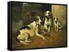 Time for a Walk-John Emms-Framed Stretched Canvas