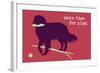 Time For Play - Red Version-Dog is Good-Framed Art Print