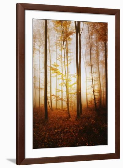 Time Has Come-Philippe Sainte-Laudy-Framed Photographic Print