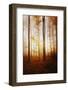 Time Has Come-Philippe Sainte-Laudy-Framed Photographic Print