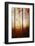 Time Has Come-Philippe Sainte-Laudy-Framed Photographic Print