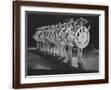 Brown Frame