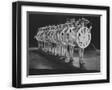 Black Frame