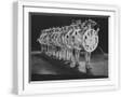 White Frame