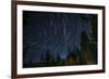 Time Lapse Photograph Showing Star Trails Above the Forest Near Lake Tahoe, California-James White-Framed Photographic Print