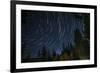 Time Lapse Photograph Showing Star Trails Above the Forest Near Lake Tahoe, California-James White-Framed Photographic Print