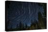 Time Lapse Photograph Showing Star Trails Above the Forest Near Lake Tahoe, California-James White-Stretched Canvas